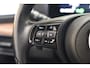 Honda E Advance 17'' [ Panoramadak Lane Assit Stoel en Stuurverwarming ]