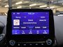 Ford EcoSport 1.0 EcoBoost Titanium-X B&O Navi Camera Winter Parking Dodehoek Keyless pack