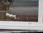 Audi Q4 e-tron 40 LAUNCH EDITION ADV. 77kWh / Trekhaak / Head up / 20 inch / BOVAG garantie