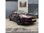 Tesla Model Y Long Range AWD + MMX PACK + IAP +TREKHAAK