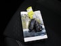 Ford Puma 1.0 EcoBoost Hybrid Titanium | Winterpakket | Cruise Control Adaptief | Parkeercamera | Navigatie | Climate Control |