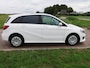 Mercedes-Benz B-klasse 220 d AUT AC | EX POLICE MARGE CAR |