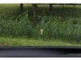 Volkswagen Passat Variant 1.5 eHybrid 272PK R-Line Black Style Leder/Pano/IQ.Light/360/Headup/HK/Navi Max/ACC/19"/Trekhaak wegkl.