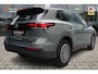 Volkswagen Tiguan 1.5 eHybrid Life | Trekhaak | Camera | ACC | Cipressino Grün |