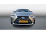 Lexus NX 300h AWD Luxury Line Leder/Winterset