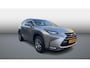 Lexus NX 300h AWD Luxury Line Leder/Winterset