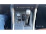 Lexus NX 300h AWD Luxury Line Leder/Winterset