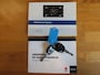 Suzuki Ignis 1.2 Smart Hybrid Select | Android Auto | Apple Carplay| Stoelverwarming | Achterbank schuif / klapbaar| Camera|