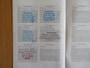 Toyota Prius+ Prius Wagon 1.8 Aspiration 96g 7P PANODAK-DEALER ONDERHOUDEN-TREKHAAK