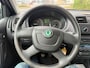 Skoda Fabia Combi 1.2 TDI Greenline ZO INGERUILD ZO WEG PRIJSJE