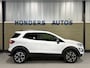 Ford EcoSport 1.0 EcoBoost Active | LEDER | WINTER-PACK | CAMERA | BLIS | CARPLAY | NAP | 1E EIG | KEY-LESS | B&O | NAVIGATIE |