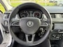 Skoda Rapid Spaceback 1.2 TSI Greentech Style Edition, Panorama dak