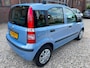 Fiat Panda 1.2 Edizione Cool