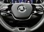 Skoda Kodiaq 1.5 TSI MHEV Business Edition | TREKHAAK | PANORAMADAK | STOELVERWARMING | ACHTERUITRIJCAMERA | MEMORY STOELEN | CLIMATE CONTROL | ELEKTRISCHE ACHTERKLEP |