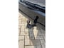 Ford Focus Wagon 125pk Mild-Hybrid Titanium FULL LED | CARPLAY | STOEL + STUURVERWARMING | EL TREKHAAK | LANE ASSIST | PARK ASSIST