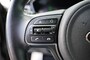 Kia Niro Hybrid 1.6 GDI PHEV EXECL.Pano,Trekhaak, Carplay, Navi, Camera