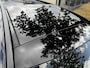 Mercedes-Benz GLC 250 4MATIC Premium Plus AMG Line Automaat Airco/ECC,Leder,Camera,Panoramadak