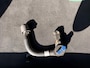 Ford Focus 1.0 EcoBoost ST Line Business DRIVER ASSISTANCE PACK I WINTER PACK I TREKHAAK I LED-KOPLAMPEN I 18 INCH LM I APPLE CARPLAY / ANDROID AUTO