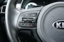Kia Niro Hybrid 1.6 GDi, Hybride, All-Season, Trekhaak afneembaar, Carplay/Android, Navi etc.