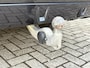BMW X5 XDrive45e High Executive M sport 394pk Trekhaak / Stoelventilatie / Tv Schermen