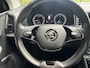 Skoda Karoq 1.0 TSI Business 110 pk Edition Plus
