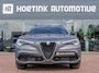 Alfa Romeo Stelvio 2.0 T AWD B-Tech | Pano | ACC | Volledig onderhouden