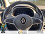 Renault Zoe R110 Life 52 kWh GARANTIE/HUURACCU/STOEL&STUURVERW./CRUISE/CLIMA/CARPLAY/LICHTMETAAL rijklaarprijs!