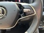 Skoda Karoq 1.5 TSI ACT Business Edition | CAM | CARPLAY | CLIMA | CRUISE | DAB | PDC V&A | VIRTUAL COCKPIT