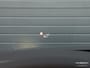 Audi A6 Avant 55 TFSI e quattro S-Line Pano Softclose 360 B&O Massage BTW Koeling
