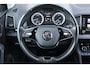 Skoda Karoq 1.5 TSI ACT Business Edition Plus 150PK AUTOMAAT | Apple Carplay/Android Auto|telefoonintegratie premium | Cruise control | Keyless entry