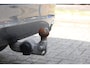 Volvo XC60 2.0 T4 Inscription | Apple carplay/ Android auto | Dodehoek detectie | Autonomous emergency braking | Electronic climate control | Lederen bekleding | Verwarmde voorstoelen |