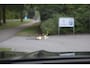 BMW iX3 High Executive 80 kWh M-Sport | Pano | Harman Kardon | Drive ass Pro | HUD | 360 Cam | Keyless | Alarm kl.3 | Leder | Etc.