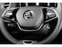 Skoda Kamiq Business Edition 1.0 TSI 115pk DSG | Adaptive Cruise Control | Dode hoek sensoren | Winter pakket