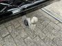 Volkswagen Tiguan 1.5 eHybrid R-Line Edition / AUTOMAAT/ GARANTIE TM 09-2030/ 272 PK/ PANO/ LEER/ TREKHAAK/ 360 CAMERA/ MEMORY+MASSAGE/ STUUR+STOELVERWARM.&KOELING/ APP-CONNECT/ ACC/ ELEK.ACHTERKLEP/ DODEHOEK/ IQ.LIGHT/ NAVI/ 20''LMV