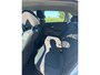 Volkswagen Polo 1.0 BlueMotion Edition, Carplay, Airco, Cruisecontrol, Navi,