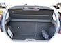 Ford Fiesta 1.0 White Edition | AIRCO | TREKHAAK | ELEK.RAMEN | NAP |APK.