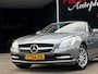 Mercedes-Benz SLK 200 CarbonLOOK Edition AUTOMAAT NEK-STOELVERW./PANO/LEDER/PDC/NAVI | NETTE AUTO !