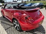 Volkswagen Beetle Cabriolet 1.4 TSI 160pk Sport, Nav, PDC, Stoelverwarming