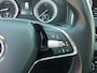 Skoda Karoq 1.0 TSI Greentech 110pk Business Edition Panorama dak Apple Carplay