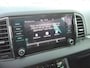 Skoda Karoq 1.0 TSI Greentech 110pk Business Edition Panorama dak Apple Carplay