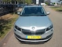 Skoda Karoq 1.0 TSI Greentech 110pk Business Edition Panorama dak Apple Carplay