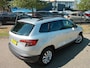 Skoda Karoq 1.0 TSI Greentech 110pk Business Edition Panorama dak Apple Carplay