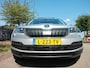 Skoda Karoq 1.0 TSI Greentech 110pk Business Edition Panorama dak Apple Carplay