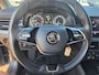 Skoda Kamiq 1.5 TSI ACT Business Edition,automaat,trekhaak