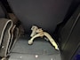 Opel Zafira 2.2-16V Maxx / 7 PERSN / NAP / RIJDT SCHAKELT GOED