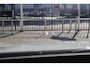 BMW 5-Serie (g60) 550e M-Sport 490pk xDrive | Pano | Bowers&Wilkins | 360 Camera | HUD | Memory