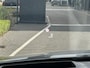 Nissan Qashqai Tekna 1.3 MHEV 158PK Xtronic Automaat Navigatie, Rondomzichtcamera, Keyless, Stoel, Stuur en Voorruitverwarming, Apple Carplay, Android Auto