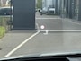 Nissan Qashqai Tekna Plus 1.3 MHEV 158PK Xtronic Automaat Navigatie, Rondomzichtcamera, Keyless, Panoramadak, Elektrische Kofferbak, Stoelverwarming, Massage