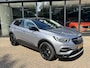 Opel Grandland X 1.2 Turbo Business Executive*Navigatie*Winterpakket*