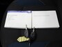 Dacia Logan MCV TCe 90pk 10th Anniversary | Trekhaak | Cruise Control | Parkeersensoren Achter |